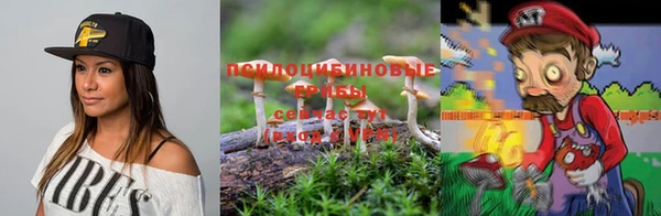 мет Абинск